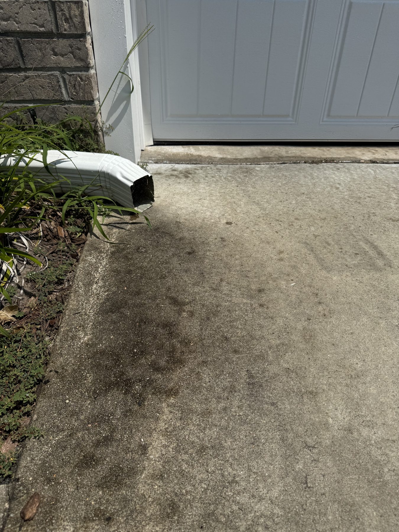 Dirty vs Clean Concrete — TruShine Pressure Washing Socastee