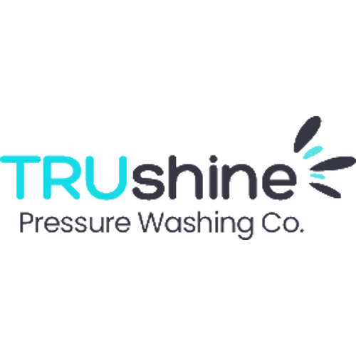 Mini Logo